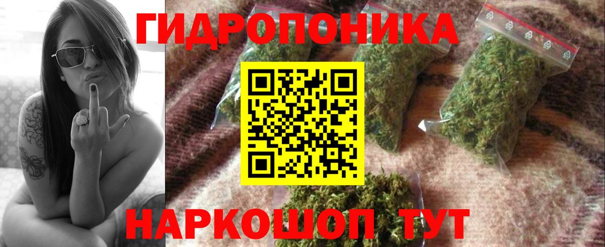 Бошки марихуана Bruce Banner  Вход с VPN  Канабис THC 21%  Мценск  Каннабис LSD WEED  Бошки Шишки THC 21% 